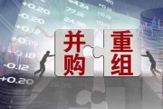 金融支持并购12家房企-金融企业并购