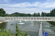 信阳鱼苗水产,信阳优质鱼苗养殖基地