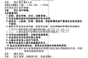 新冠咳嗽四季感冒片成分