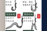 钓鱼技巧与饵料攻略大全