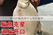 冬天钓鳊鱼用什么饵料最好