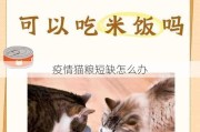 疫情猫粮短缺怎么办