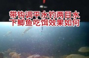 饵料正确入水