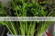 疫情芹菜怎么保存,芹菜保鲜储存方法