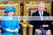 英国王子感染新冠情况