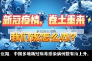 新冠肺炎沦陷