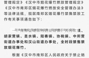 限牌与懒政_限牌限购政策：限牌懒政背后成因