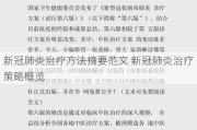 新冠肺炎治疗方法摘要范文 新冠肺炎治疗策略概览