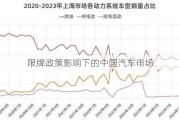 限牌政策影响下的中国汽车市场