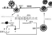 新冠病毒有机合成