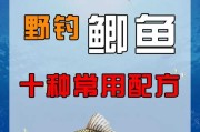 鲫鱼挂子饵料、鲫鱼挂子饵料配方