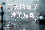 雨中游名胜古迹古诗(雨中游园诗句：雨滴滴答游古迹)