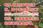 砀山梨价格最新行情