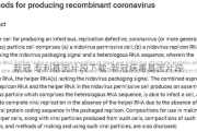 新冠 专利基因片段下载-新冠病毒基因片段