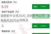 冠新软件业绩2020_冠新软件公司：冠新软件2020业绩概览