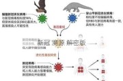 新冠 溯源 解密版