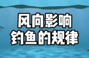 钓鱼遇到大风会怎样呢