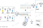 pcr新冠检测具体流程