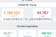 法国新冠病毒有多少例;法国新冠确诊病例统计