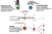 疫情根源探析