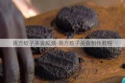 南方蚊子美食视频-南方蚊子美食制作教程