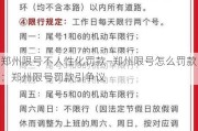 郑州限号不人性化罚款—郑州限号怎么罚款：郑州限号罚款引争议