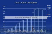 咸宁新冠肺炎患者数据统计