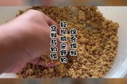 雨中钓鱼饵料选择