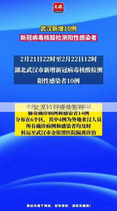 武汉11月疫情发布