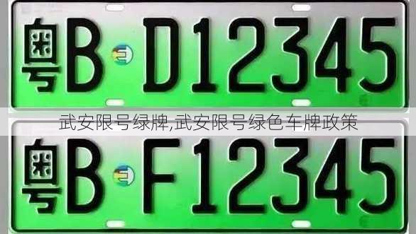 武安限号绿牌,武安限号绿色车牌政策