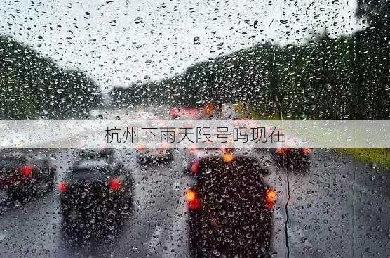 杭州下雨天限号吗现在