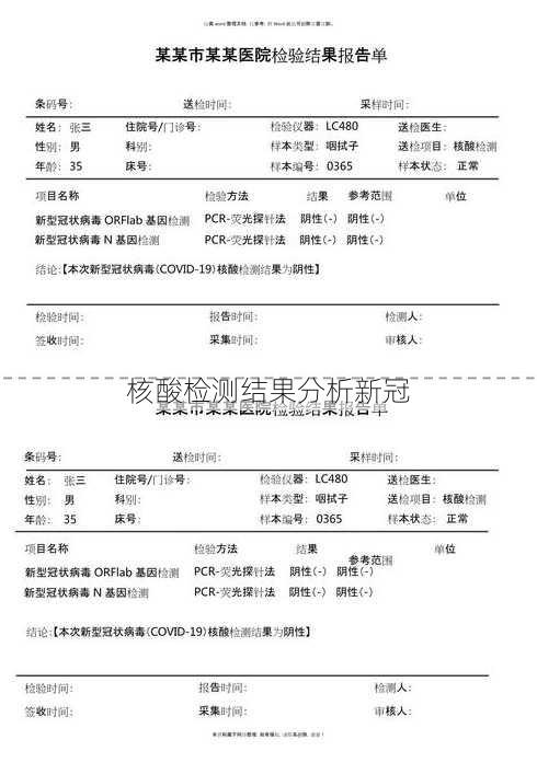 核酸检测结果分析新冠