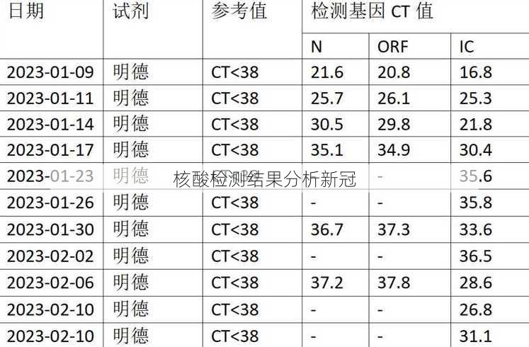 核酸检测结果分析新冠