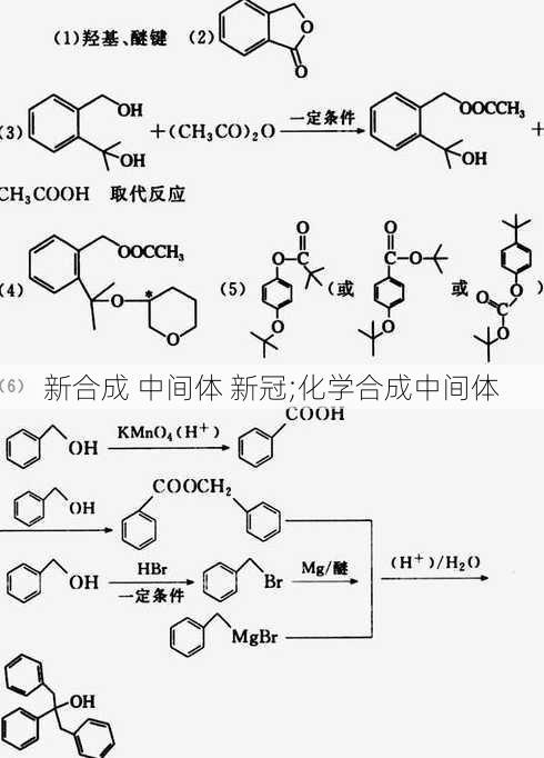 新合成 中间体 新冠;化学合成中间体