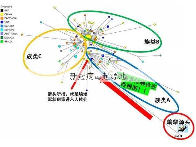 新冠病毒起源地