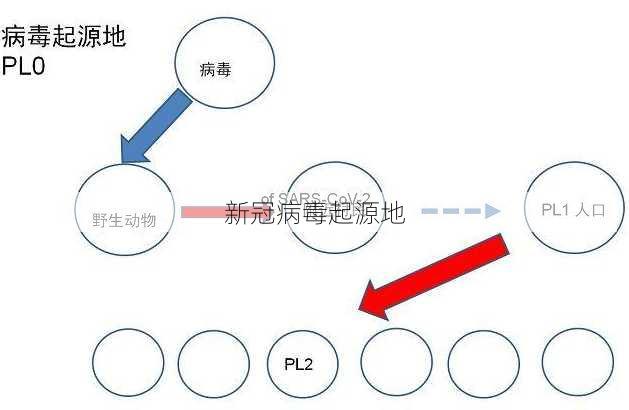 新冠病毒起源地