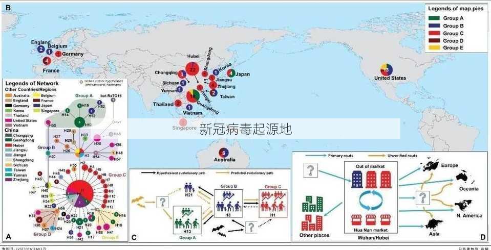 新冠病毒起源地