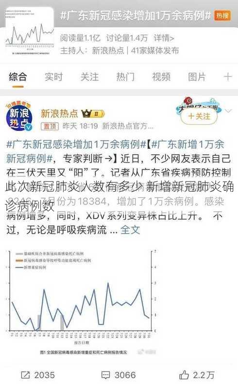 此次新冠肺炎人数有多少 新增新冠肺炎确诊病例数