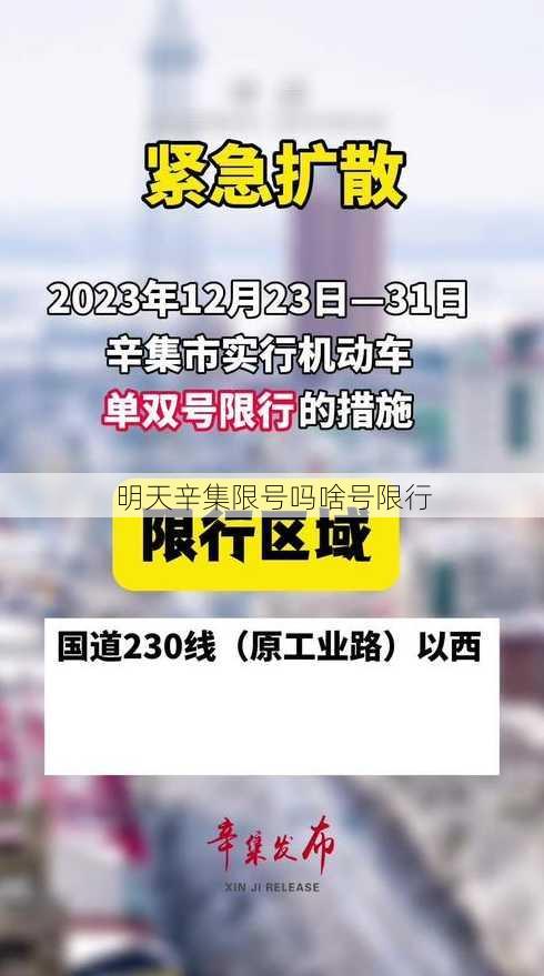 明天辛集限号吗啥号限行