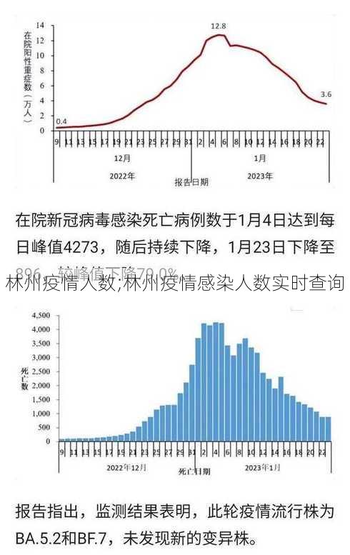 林州疫情人数;林州疫情感染人数实时查询