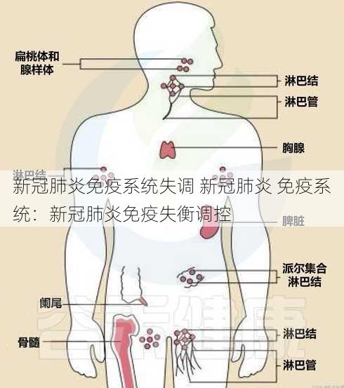 新冠肺炎免疫系统失调 新冠肺炎 免疫系统：新冠肺炎免疫失衡调控