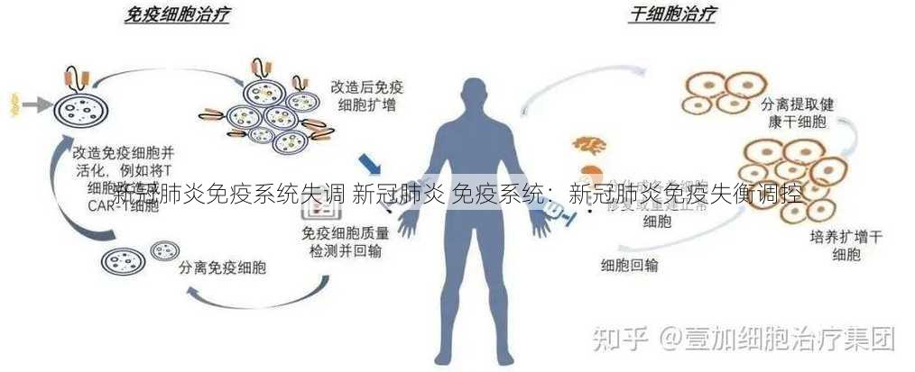 新冠肺炎免疫系统失调 新冠肺炎 免疫系统：新冠肺炎免疫失衡调控