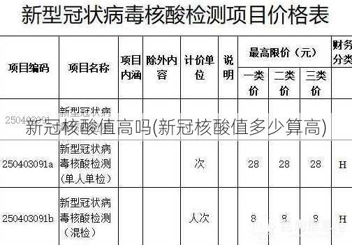 新冠核酸值高吗(新冠核酸值多少算高)