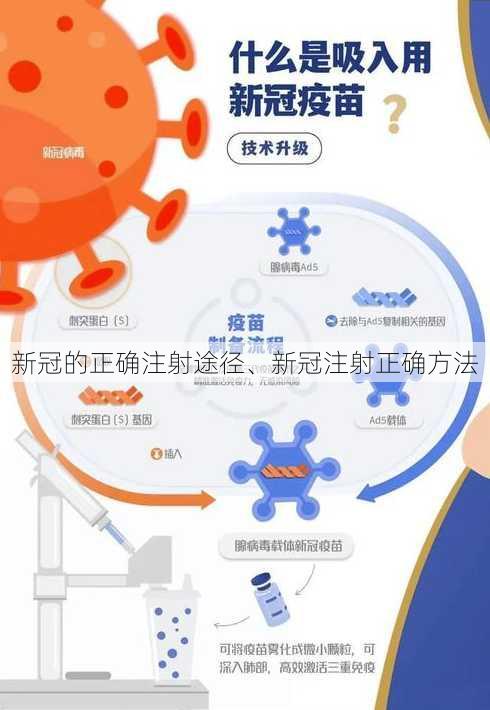 新冠的正确注射途径、新冠注射正确方法