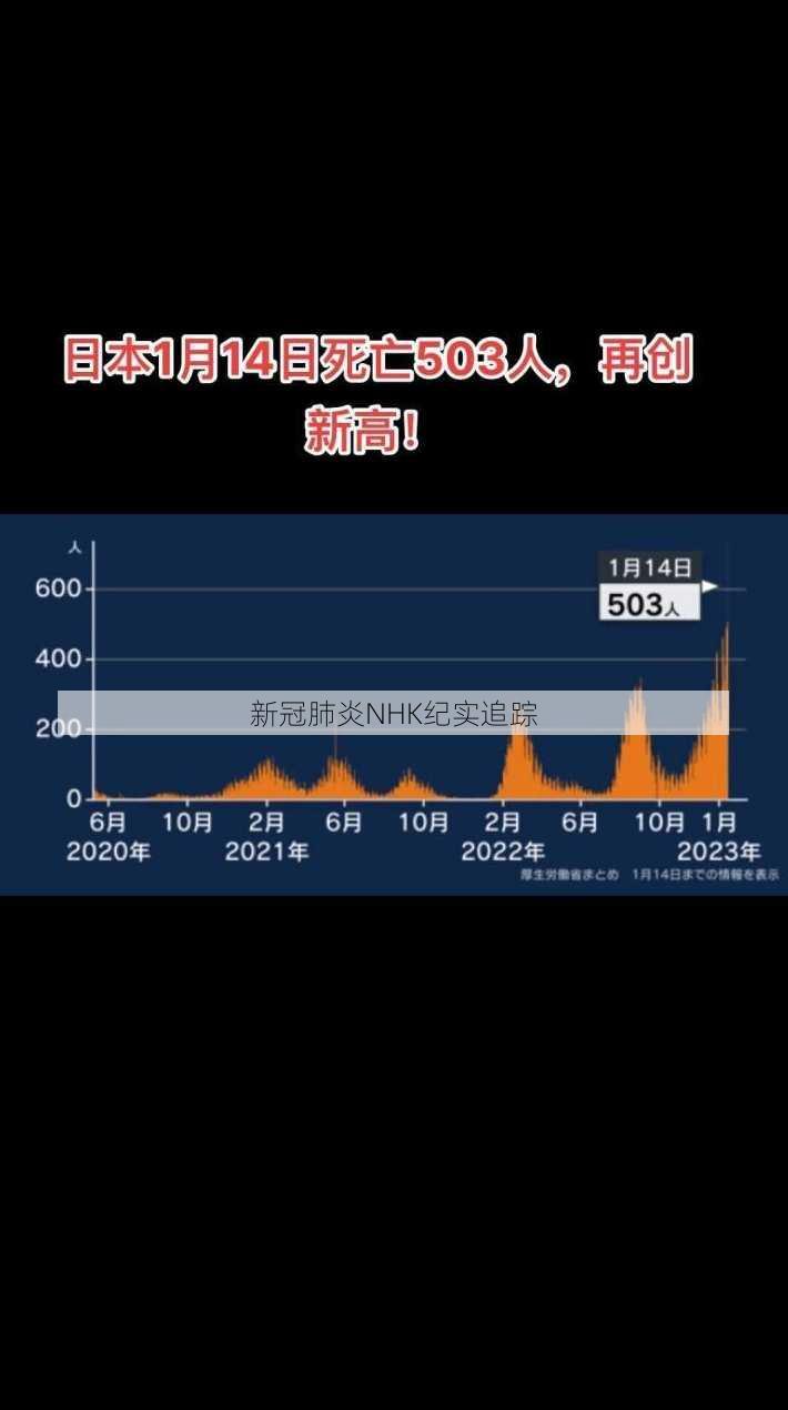 新冠肺炎NHK纪实追踪