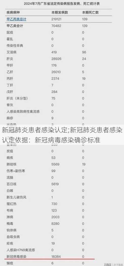 新冠肺炎患者感染认定;新冠肺炎患者感染认定依据：新冠病毒感染确诊标准