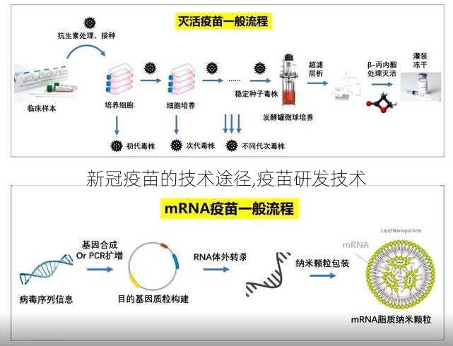 新冠疫苗的技术途径,疫苗研发技术