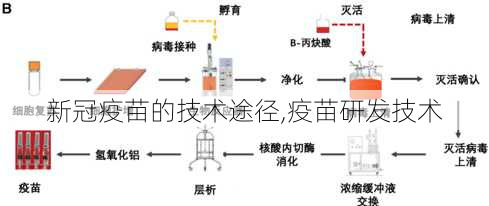 新冠疫苗的技术途径,疫苗研发技术