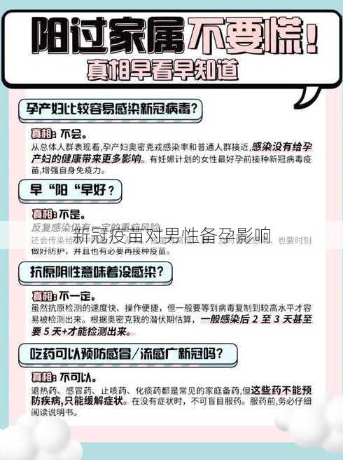 新冠疫苗对男性备孕影响