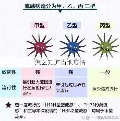 怎么知道当地疫情